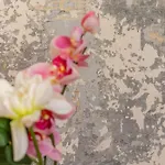 Iflat Charming Historic Palace Fons Trevi B15 דירה רומא